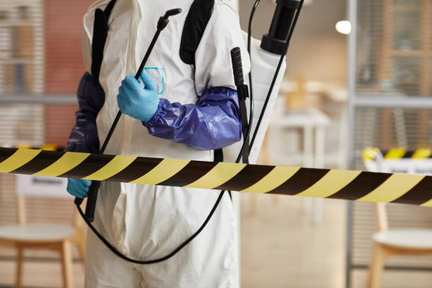 Professional Hoarding Cleanup technician working in Evansville, IN